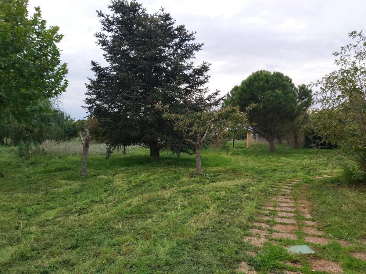 Casa Chalet En El Campo Barbadillo Екстериор снимка