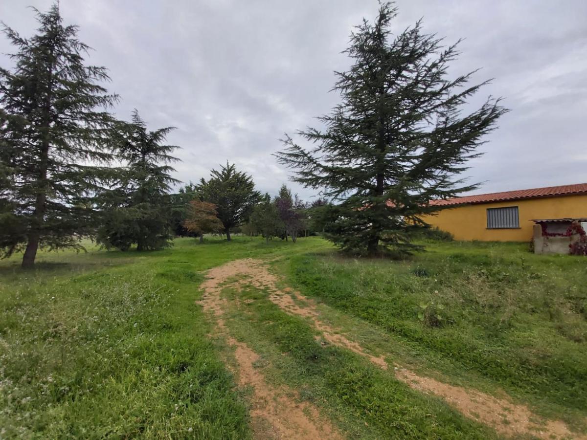 Casa Chalet En El Campo Barbadillo Екстериор снимка